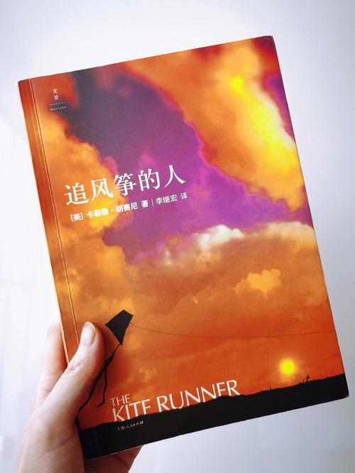 愤怒的阿米尔翻译