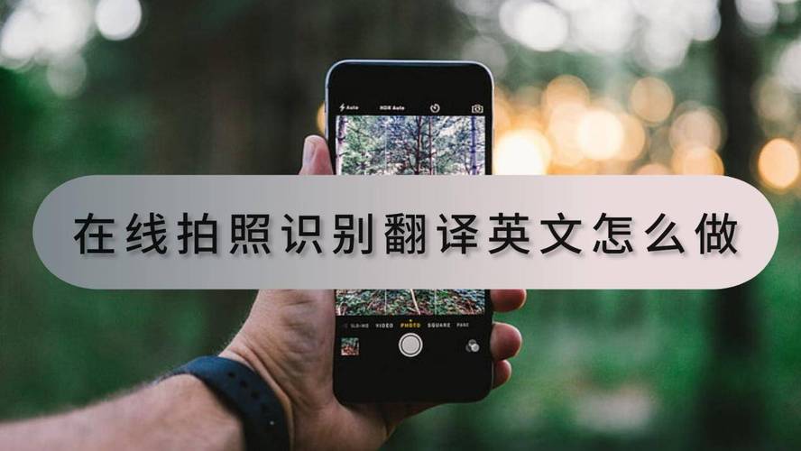 如何拍照翻译英语