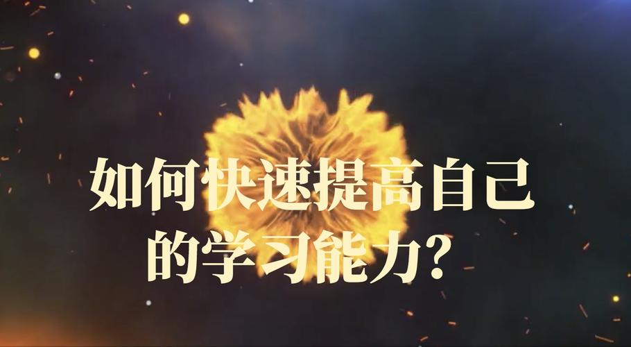 编程能否帮助内向的人融入社交圈