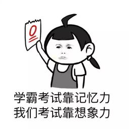 开源导航软件