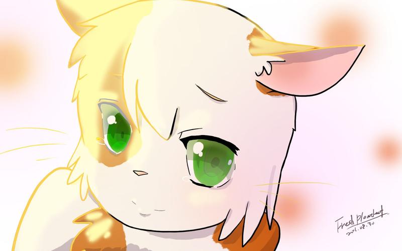 编程猫网页版