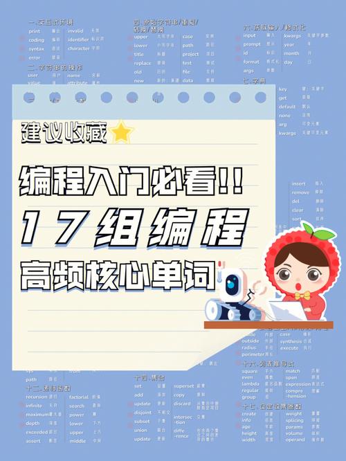 编程老师