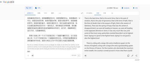 兔子英语翻译怎么写