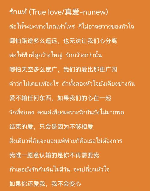 泰语翻译技巧论文