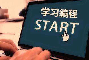 儿童编程教学视频