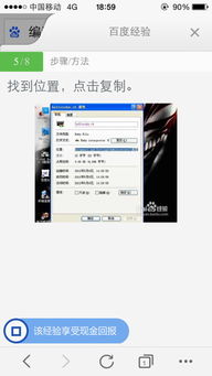 中文翻译英文软件
