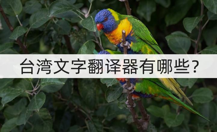 台湾话在线翻译器