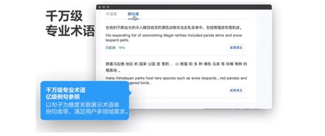 机辅翻译英语