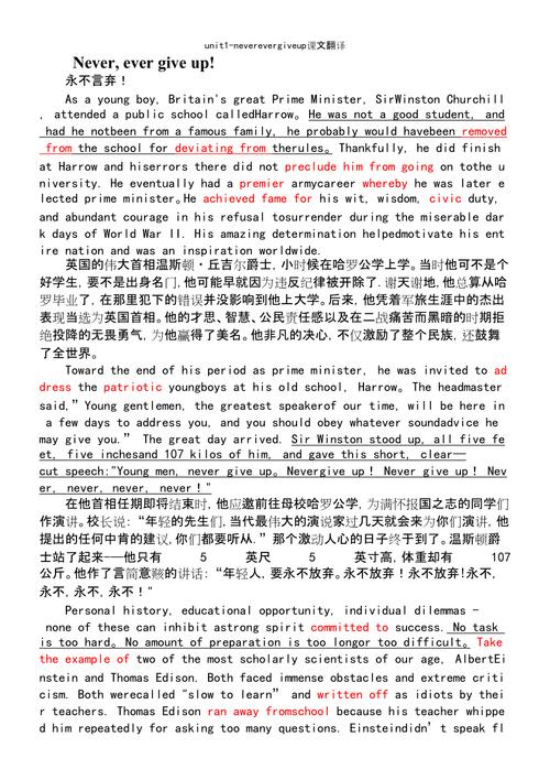 有没有翻译整篇英文文章的软件