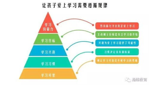 如何培养编程兴趣