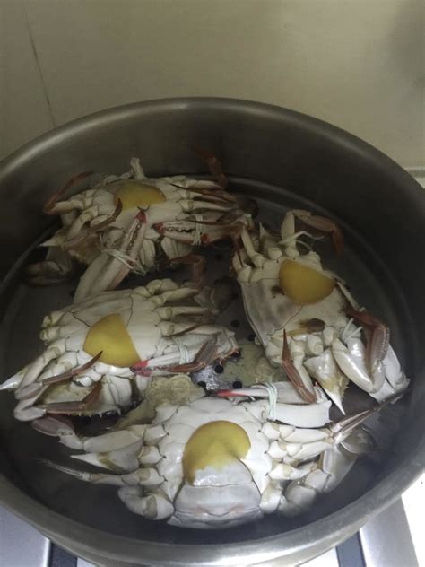 清蒸螃蟹的做法视频