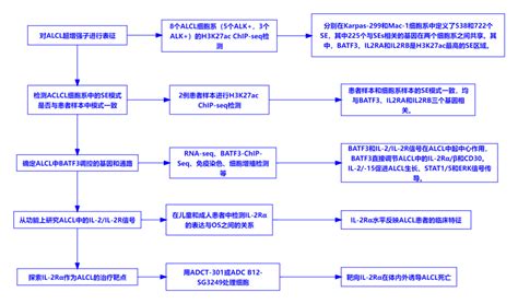 蛋白质翻译后修饰有什么作用