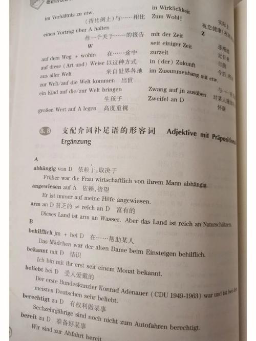 德语翻译成英语软件