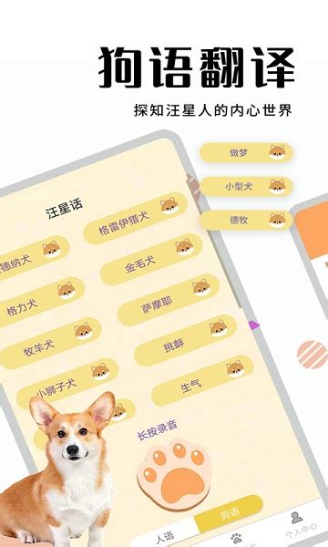 翻译猫