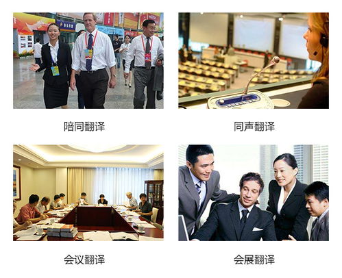 法语翻译软件