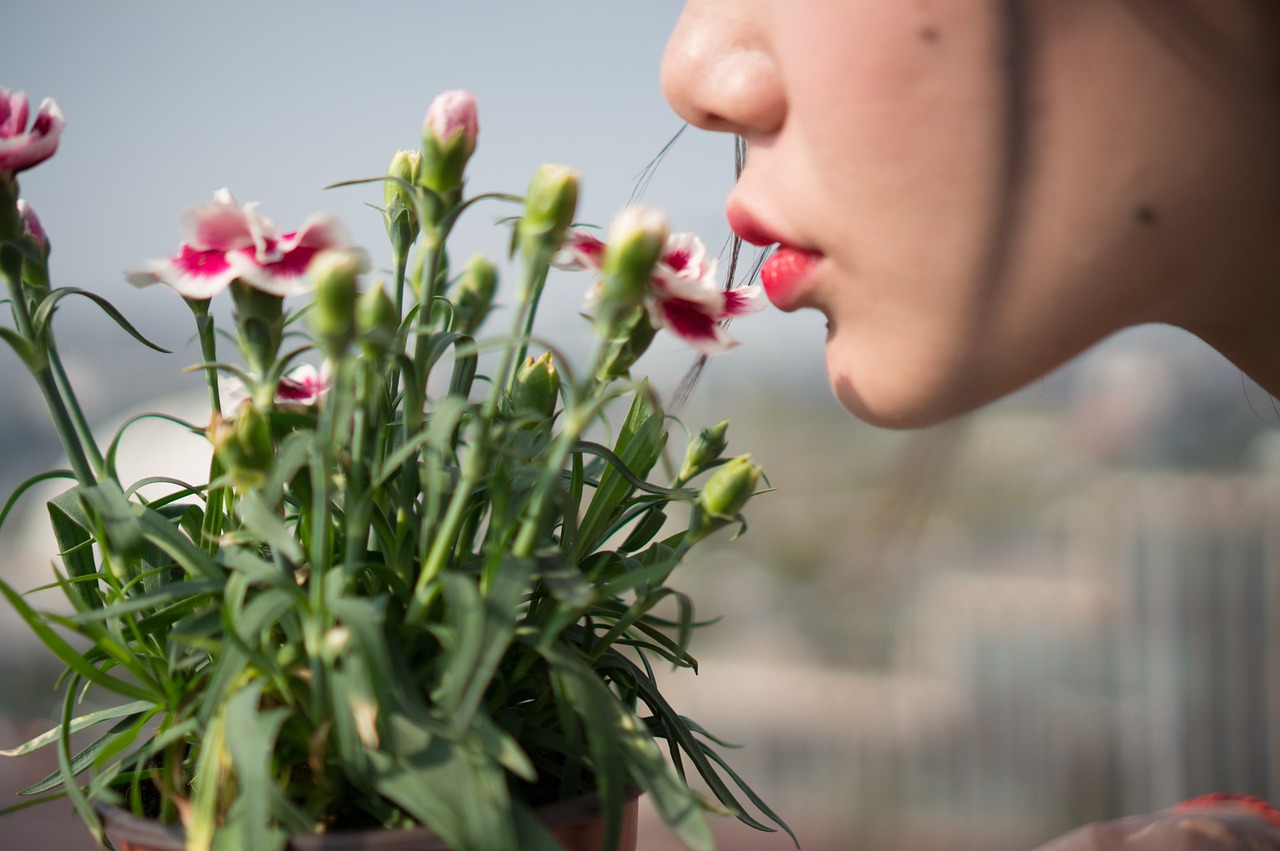 立春食疗，中国传统节日中的养生之道
