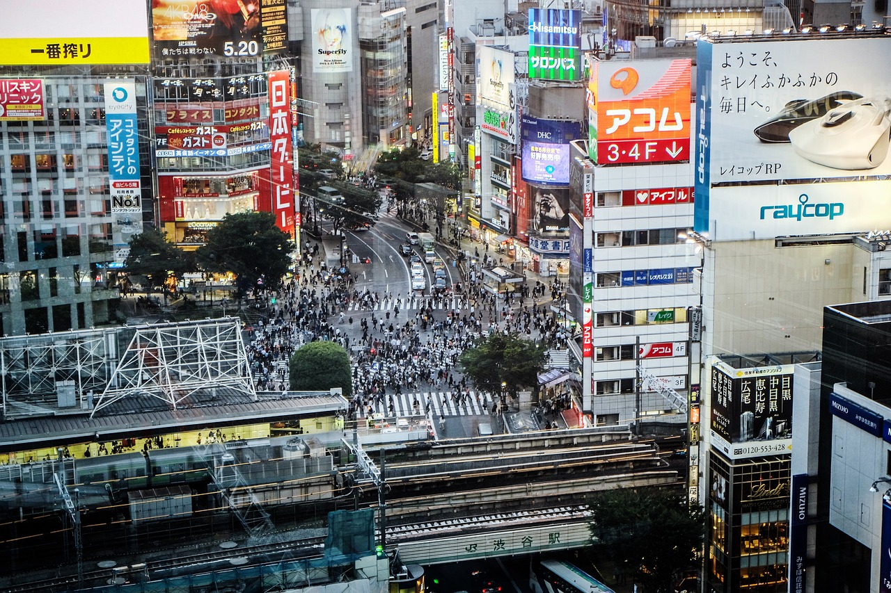 高速公路服务区，现代旅行驿站的缩影与挑战