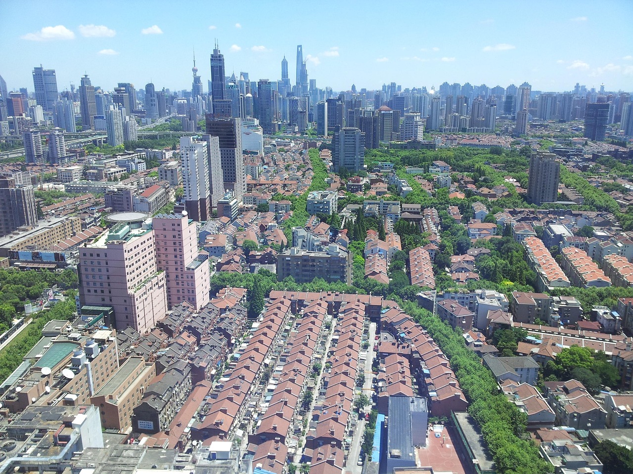 福建疫情报告，本土病例363例的深入解析与防控建议