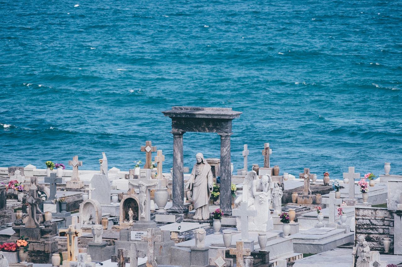 上海疫情警钟，新增11例死亡病例，我们如何共同应对？