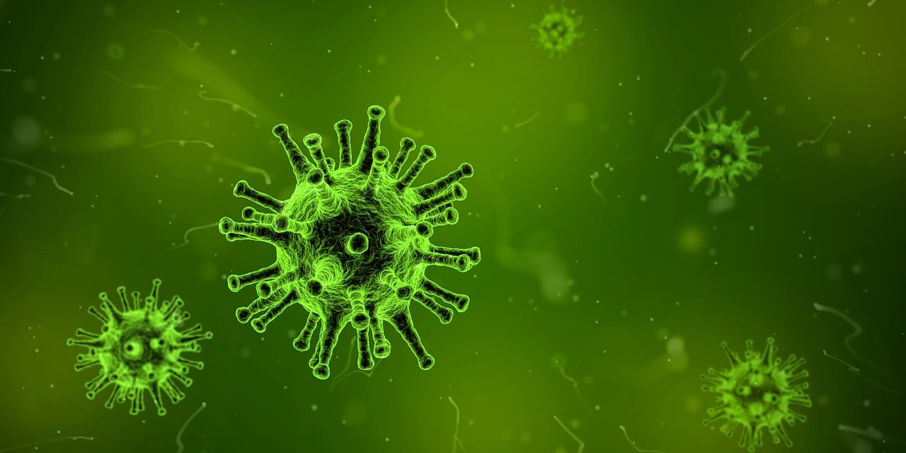 家庭中的独阳现象，揭秘新冠病毒检测背后的科学与生活