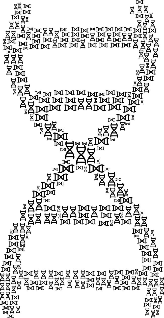 上海4月4日的健康大考，全市核酸检测的全面解读