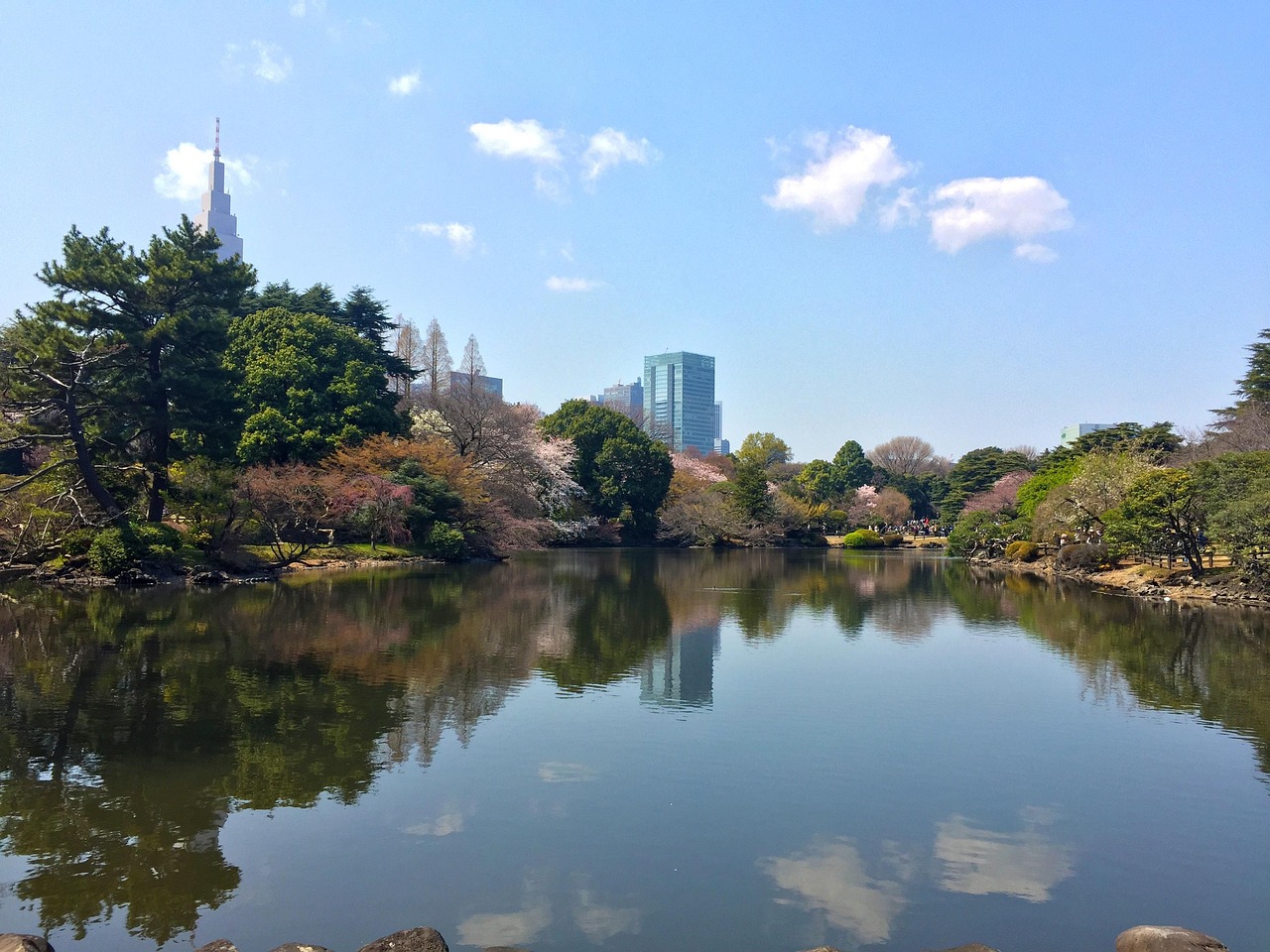 扬州的春天，城市解封，生活重启