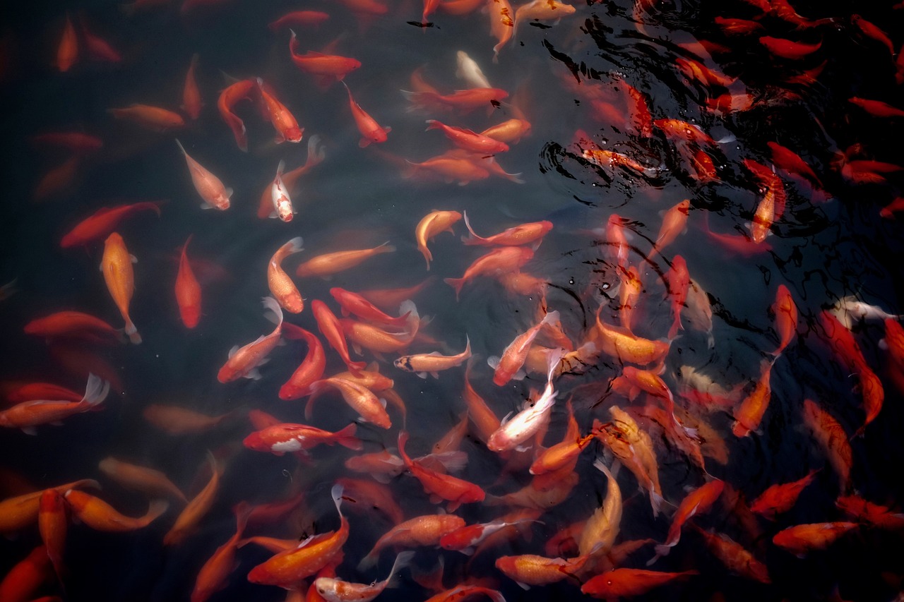 爱在破碎边缘，一段关于原谅与重生的故事